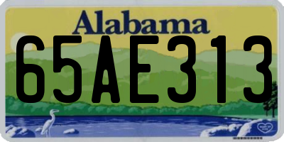 AL license plate 65AE313