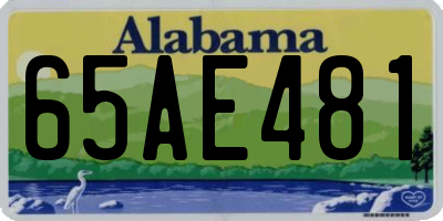 AL license plate 65AE481