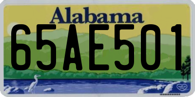 AL license plate 65AE501