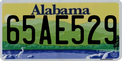 AL license plate 65AE529