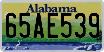 AL license plate 65AE539