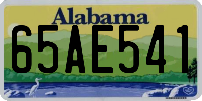 AL license plate 65AE541