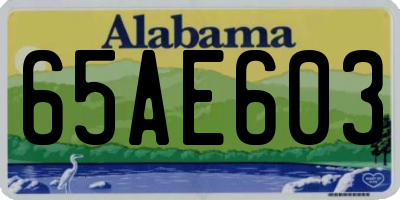 AL license plate 65AE603