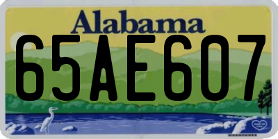 AL license plate 65AE607