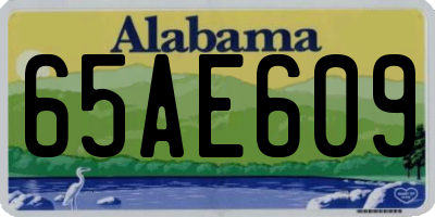 AL license plate 65AE609