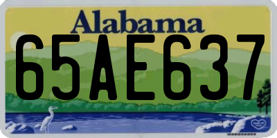 AL license plate 65AE637