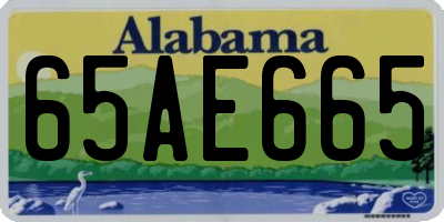 AL license plate 65AE665