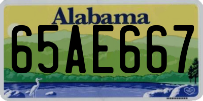 AL license plate 65AE667