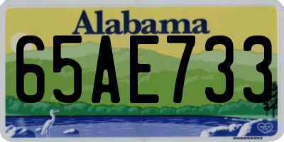 AL license plate 65AE733