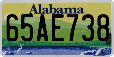 AL license plate 65AE738