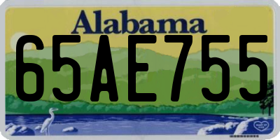 AL license plate 65AE755