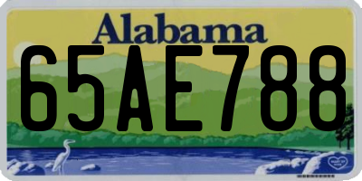 AL license plate 65AE788