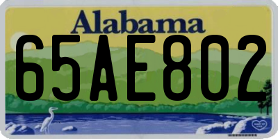 AL license plate 65AE802