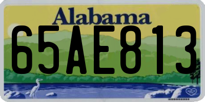 AL license plate 65AE813