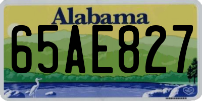 AL license plate 65AE827