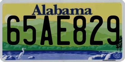 AL license plate 65AE829