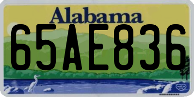 AL license plate 65AE836