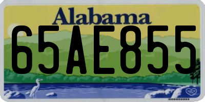 AL license plate 65AE855