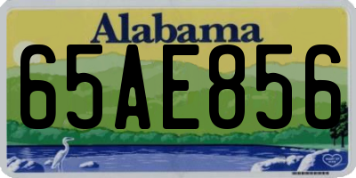 AL license plate 65AE856