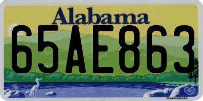 AL license plate 65AE863