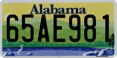 AL license plate 65AE981