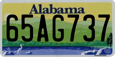 AL license plate 65AG737