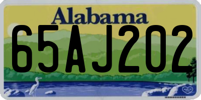AL license plate 65AJ202