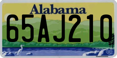 AL license plate 65AJ210