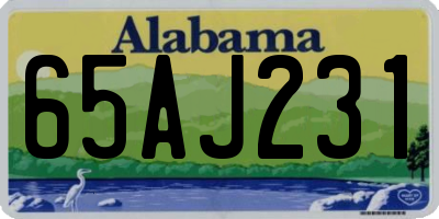 AL license plate 65AJ231