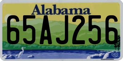 AL license plate 65AJ256