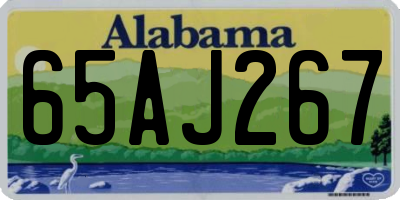AL license plate 65AJ267