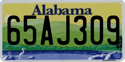 AL license plate 65AJ309