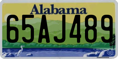 AL license plate 65AJ489