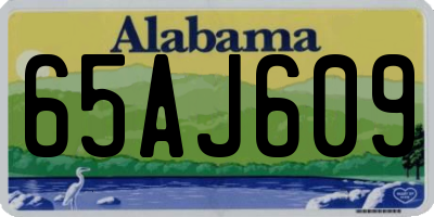 AL license plate 65AJ609