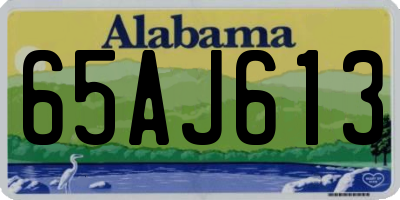 AL license plate 65AJ613