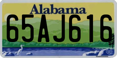 AL license plate 65AJ616
