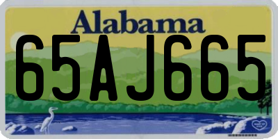 AL license plate 65AJ665