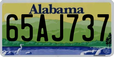 AL license plate 65AJ737