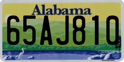 AL license plate 65AJ810