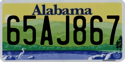 AL license plate 65AJ867