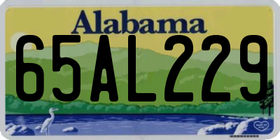 AL license plate 65AL229