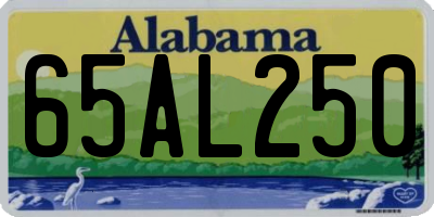 AL license plate 65AL250