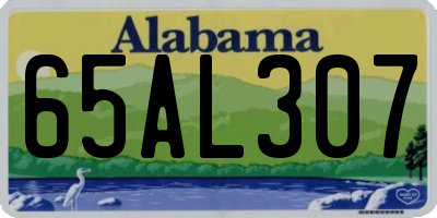 AL license plate 65AL307