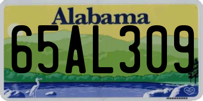AL license plate 65AL309