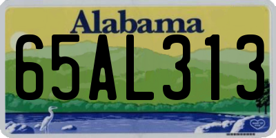 AL license plate 65AL313