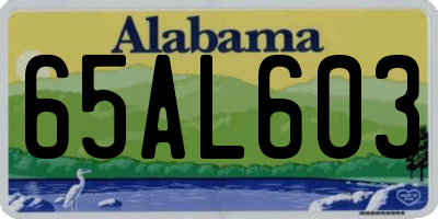 AL license plate 65AL603
