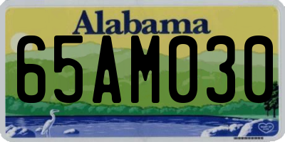 AL license plate 65AM030