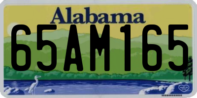 AL license plate 65AM165