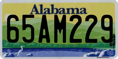AL license plate 65AM229