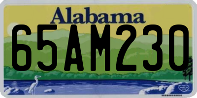 AL license plate 65AM230